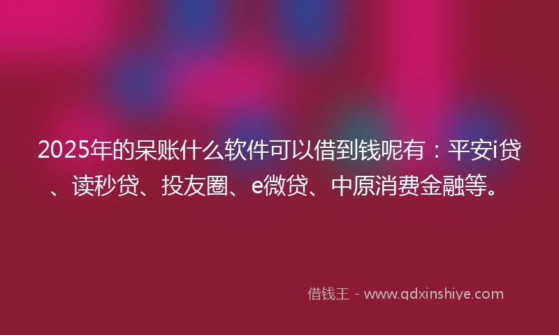 2025年的呆账什么软件可以借到钱呢有：平安i贷、读秒贷、投友圈、e微贷、中原消费金融等。