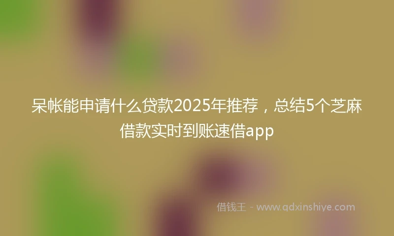 呆帐能申请什么贷款2025年推荐,总结5个芝麻借款实时到账速借app
