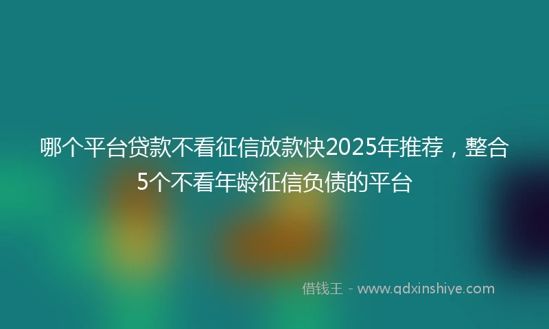 哪个平台贷款不看征信放款快2025年推荐，整合5个不看年龄征信负债的平台
