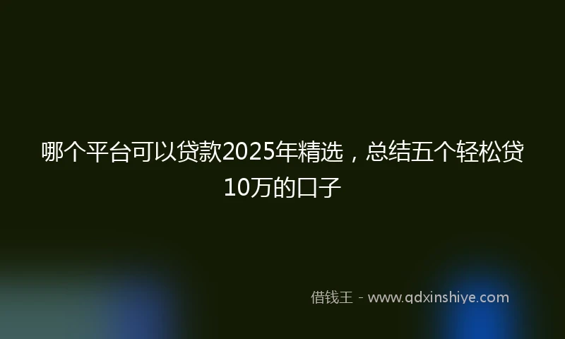 哪个平台可以贷款2025年精选,总结五个轻松贷10万的口子