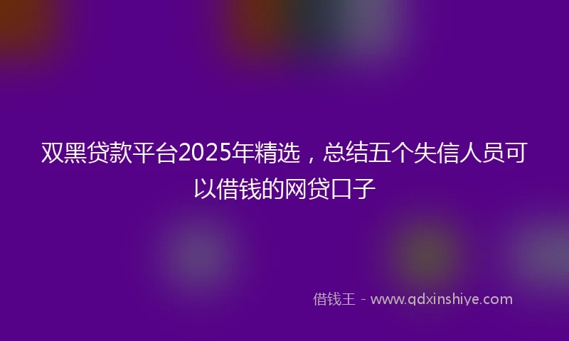 双黑贷款平台2025年精选,总结五个失信人员可以借钱的网贷口子