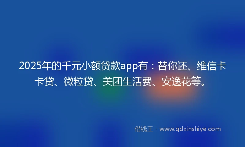 2025年的千元小额贷款app有：替你还、维信卡卡贷、微粒贷、美团生活费、安逸花等。