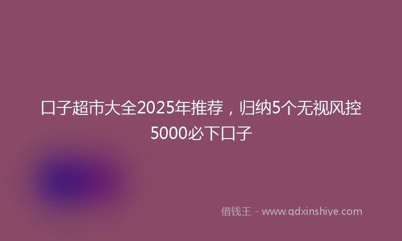 口子超市大全2025年推荐,归纳5个无视风控5000必下口子