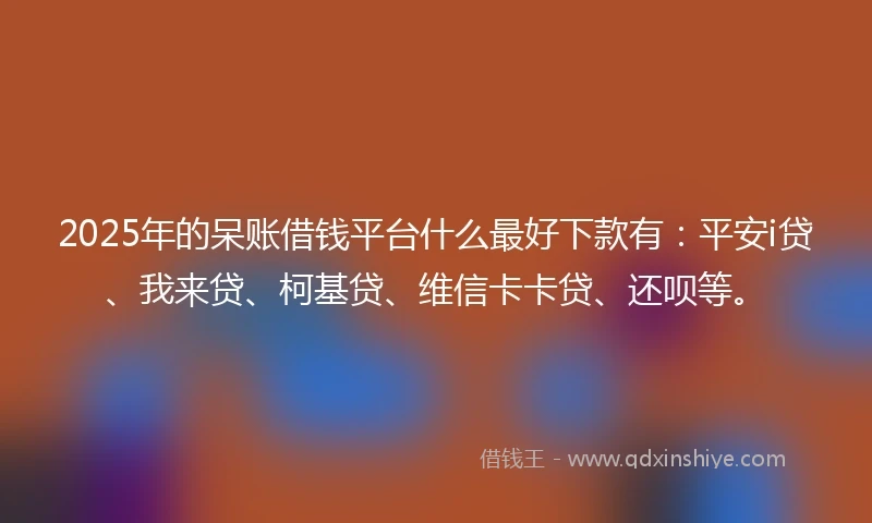 2025年的呆账借钱平台什么最好下款有：平安i贷、我来贷、柯基贷、维信卡卡贷、还呗等。