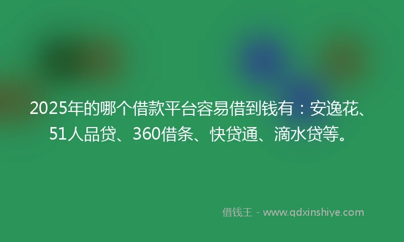 2025年的哪个借款平台容易借到钱有：安逸花、51人品贷、360借条、快贷通、滴水贷等。
