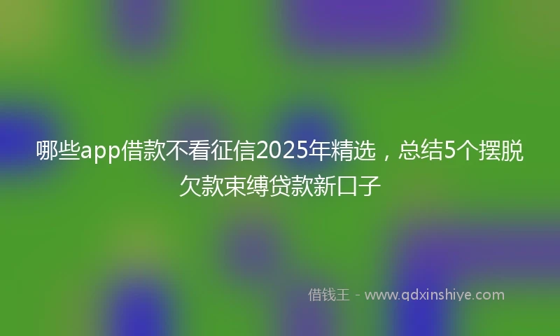 哪些app借款不看征信2025年精选，总结5个摆脱欠款束缚贷款新口子
