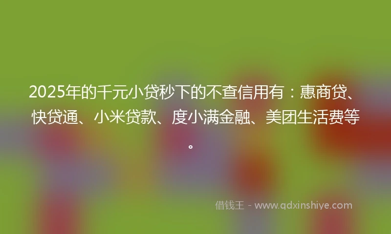 2025年的千元小贷秒下的不查信用有：惠商贷、快贷通、小米贷款、度小满金融、美团生活费等。
