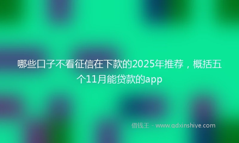哪些口子不看征信在下款的2025年推荐,概括五个11月能贷款的app
