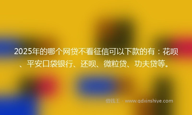 2025年的哪个网贷不看征信可以下款的有：花呗、平安口袋银行、还呗、微粒贷、功夫贷等。