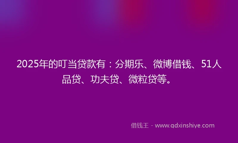 2025年的叮当贷款有：分期乐、微博借钱、51人品贷、功夫贷、微粒贷等。