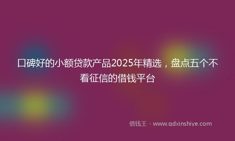 口碑好的小额贷款产品2025年精选，盘点五个不看征信的借钱平台