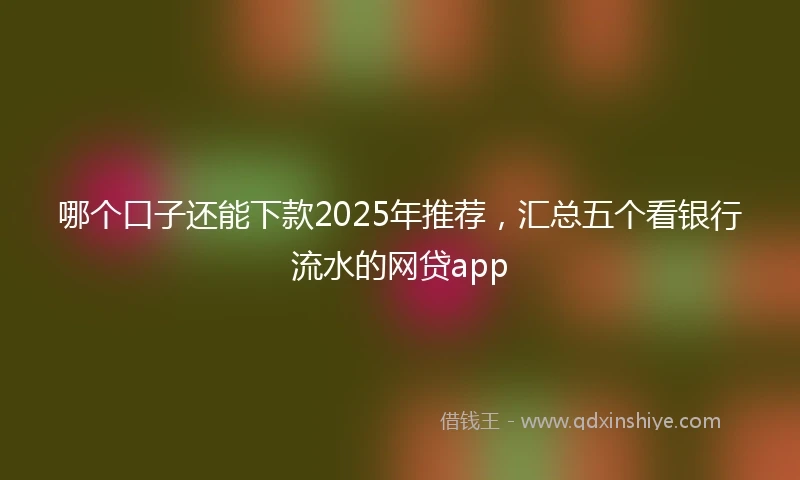哪个口子还能下款2025年推荐，汇总五个看银行流水的网贷app