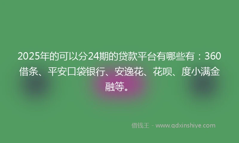 2025年的可以分24期的贷款平台有哪些有：360借条、平安口袋银行、安逸花、花呗、度小满金融等。