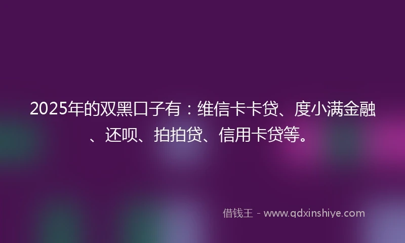 2025年的双黑口子有：维信卡卡贷、度小满金融、还呗、拍拍贷、信用卡贷等。