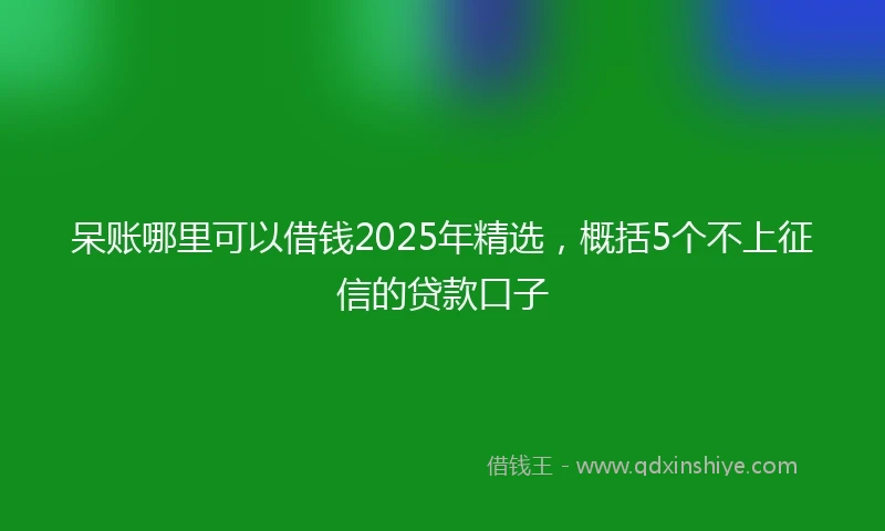 呆账哪里可以借钱2025年精选，概括5个不上征信的贷款口子