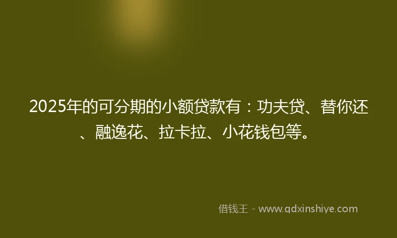 2025年的可分期的小额贷款有：功夫贷、替你还、融逸花、拉卡拉、小花钱包等。