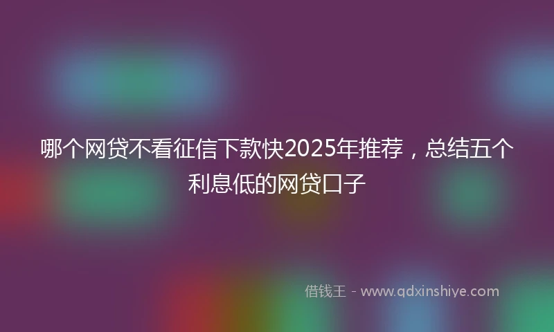 哪个网贷不看征信下款快2025年推荐，总结五个利息低的网贷口子