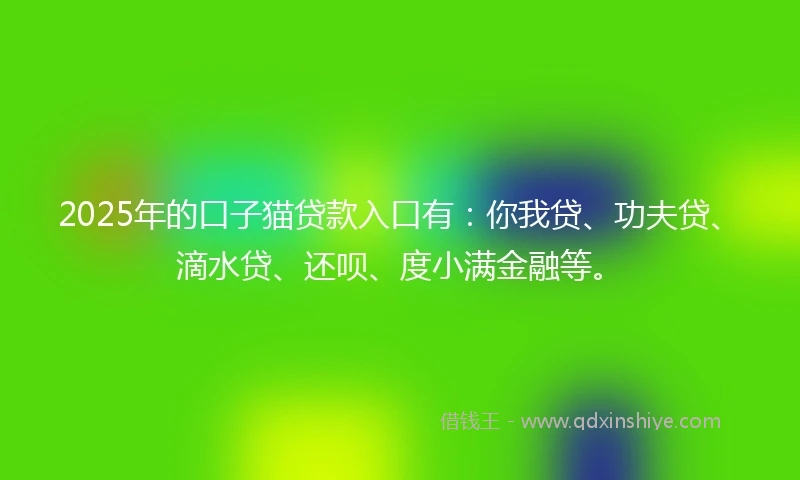 2025年的口子猫贷款入口有:你我贷、功夫贷、滴水贷、还呗、度小满金融等。