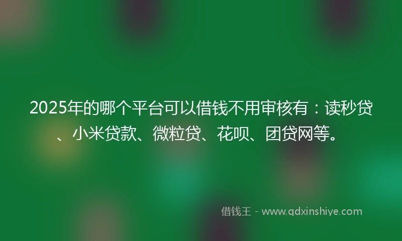 2025年的哪个平台可以借钱不用审核有：读秒贷、小米贷款、微粒贷、花呗、团贷网等。