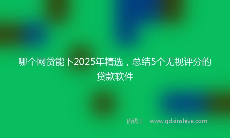 哪个网贷能下2025年精选，总结5个无视评分的贷款软件