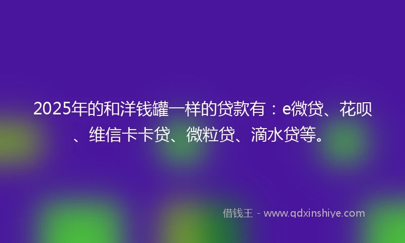 2025年的和洋钱罐一样的贷款有：e微贷、花呗、维信卡卡贷、微粒贷、滴水贷等。