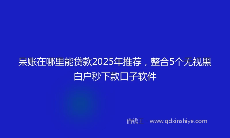 呆账在哪里能贷款2025年推荐，整合5个无视黑白户秒下款口子软件