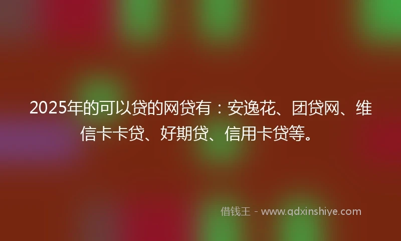 2025年的可以贷的网贷有：安逸花、团贷网、维信卡卡贷、好期贷、信用卡贷等。