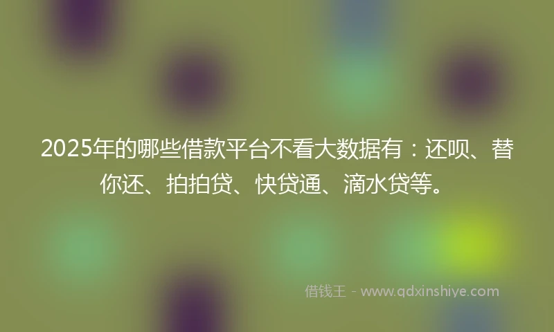 2025年的哪些借款平台不看大数据有：还呗、替你还、拍拍贷、快贷通、滴水贷等。