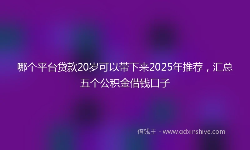 哪个平台贷款20岁可以带下来2025年推荐，汇总五个公积金借钱口子