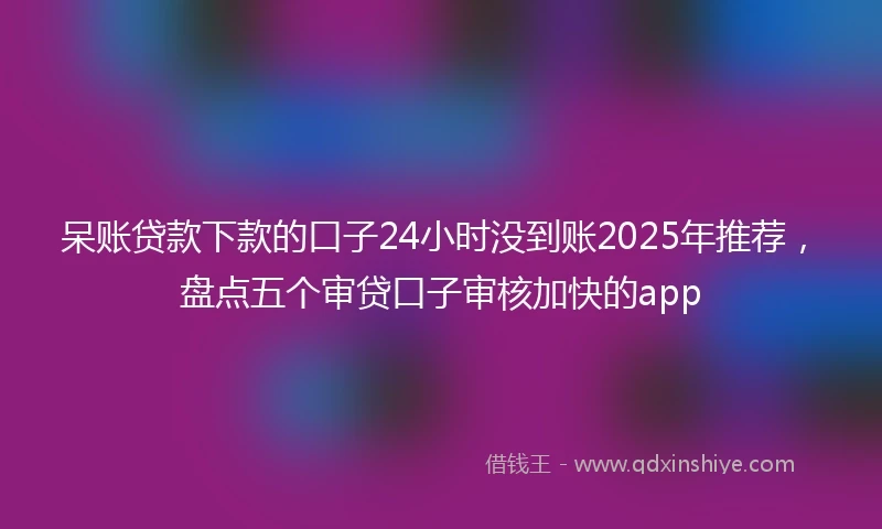 呆账贷款下款的口子24小时没到账2025年推荐，盘点五个审贷口子审核加快的app