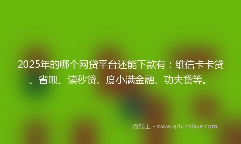 2025年的哪个网贷平台还能下款有：维信卡卡贷、省呗、读秒贷、度小满金融、功夫贷等。
