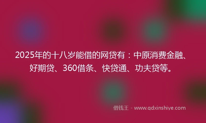 2025年的十八岁能借的网贷有：中原消费金融、好期贷、360借条、快贷通、功夫贷等。