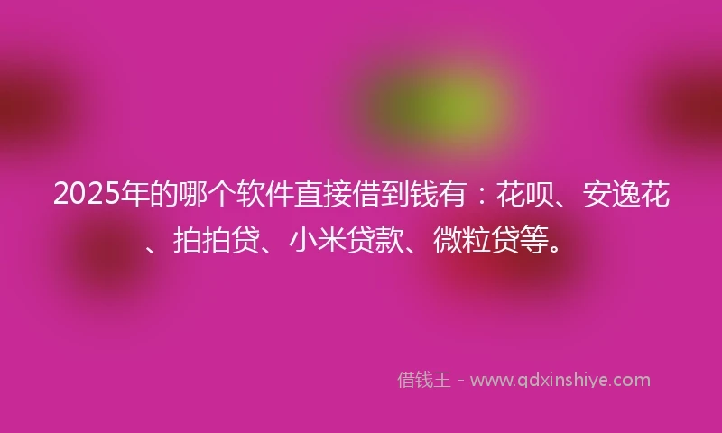 2025年的哪个软件直接借到钱有：花呗、安逸花、拍拍贷、小米贷款、微粒贷等。