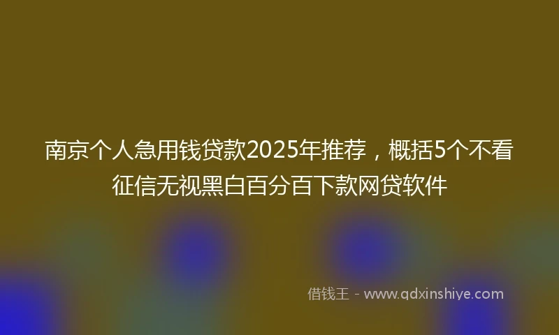 南京个人急用钱贷款2025年推荐，概括5个不看征信无视黑白百分百下款网贷软件