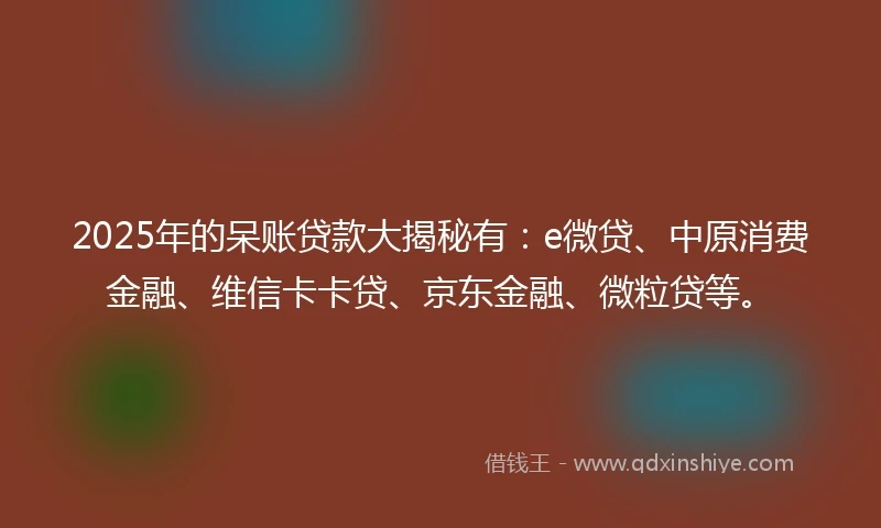 2025年的呆账贷款大揭秘有：e微贷、中原消费金融、维信卡卡贷、京东金融、微粒贷等。