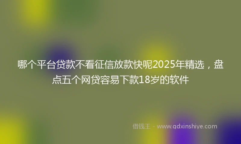 哪个平台贷款不看征信放款快呢2025年精选，盘点五个网贷容易下款18岁的软件