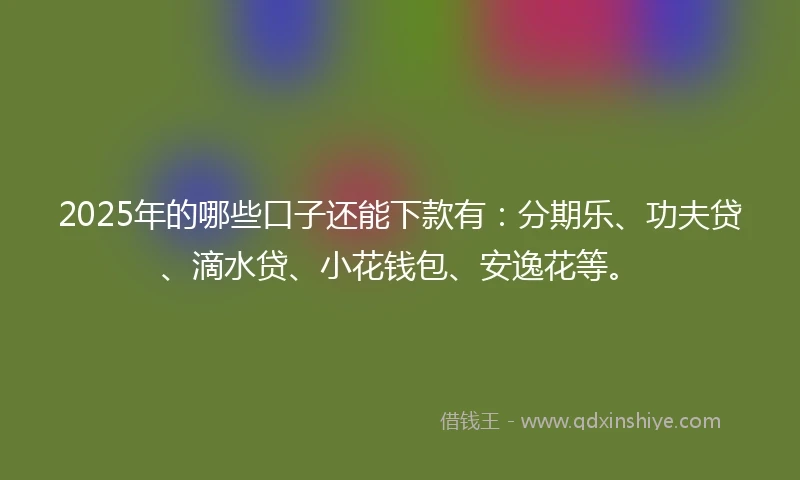 2025年的哪些口子还能下款有：分期乐、功夫贷、滴水贷、小花钱包、安逸花等。