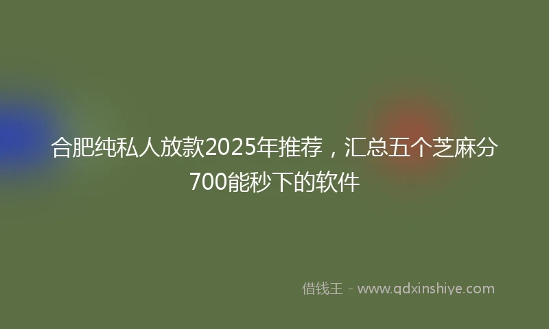 合肥纯私人放款2025年推荐，汇总五个芝麻分700能秒下的软件