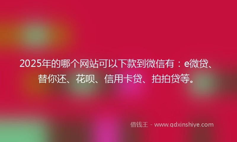 2025年的哪个网站可以下款到微信有：e微贷、替你还、花呗、信用卡贷、拍拍贷等。