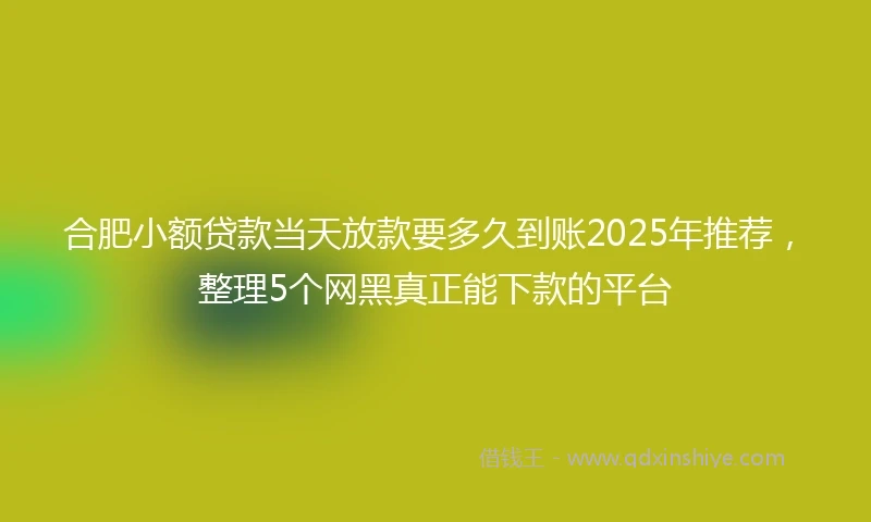 合肥小额贷款当天放款要多久到账2025年推荐，整理5个网黑真正能下款的平台