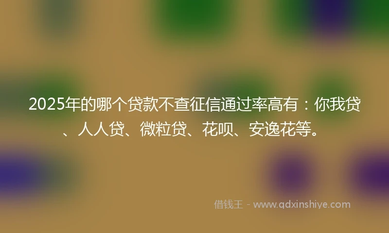 2025年的哪个贷款不查征信通过率高有：你我贷、人人贷、微粒贷、花呗、安逸花等。