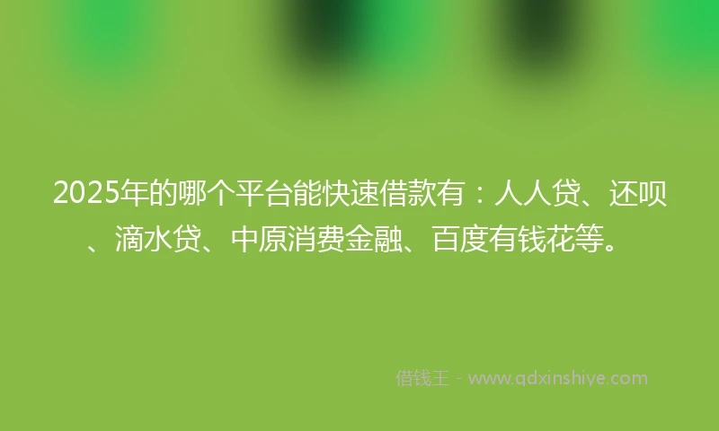 2025年的哪个平台能快速借款有：人人贷、还呗、滴水贷、中原消费金融、百度有钱花等。