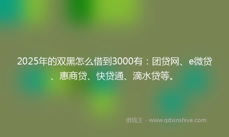 2025年的双黑怎么借到3000有：团贷网、e微贷、惠商贷、快贷通、滴水贷等。