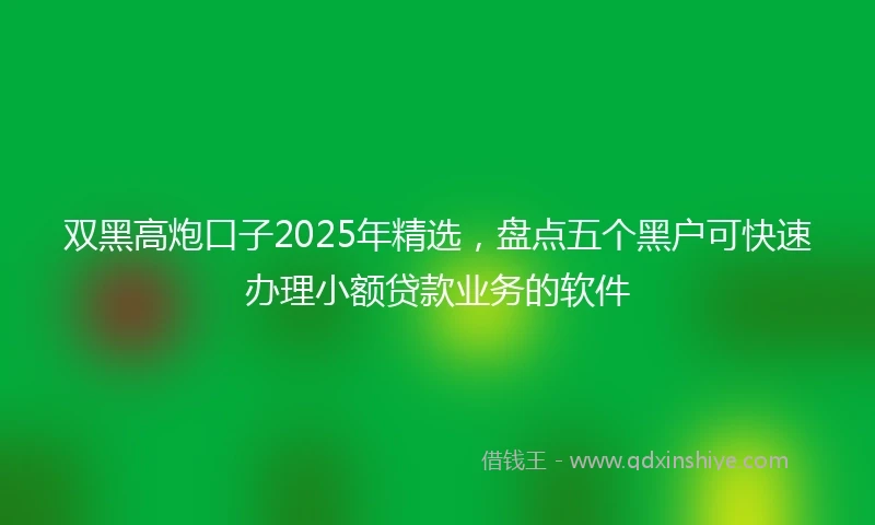 双黑高炮口子2025年精选，盘点五个黑户可快速办理小额贷款业务的软件