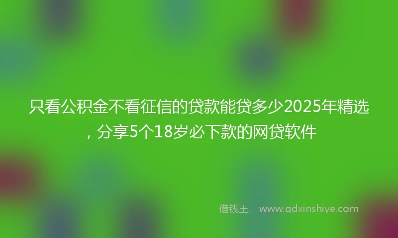 只看公积金不看征信的贷款能贷多少2025年精选，分享5个18岁必下款的网贷软件