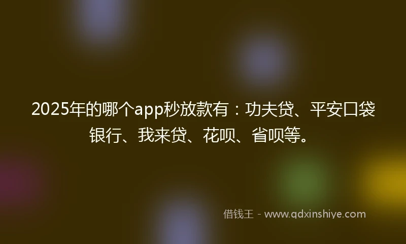 2025年的哪个app秒放款有：功夫贷、平安口袋银行、我来贷、花呗、省呗等。
