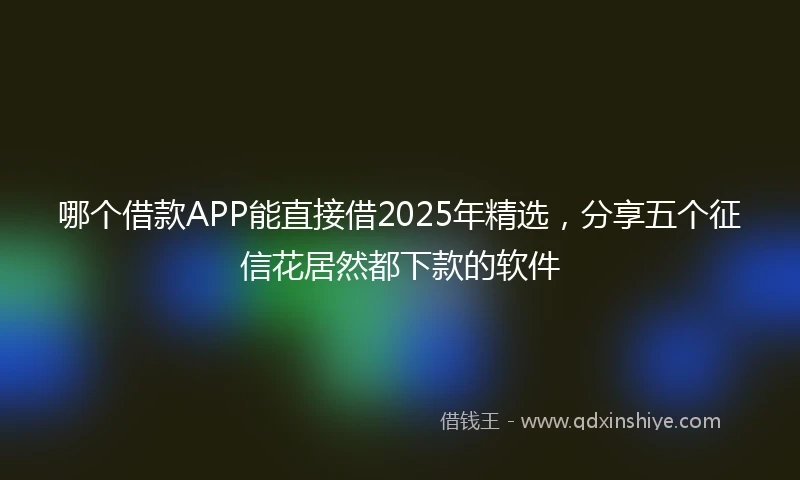 哪个借款APP能直接借2025年精选，分享五个征信花居然都下款的软件