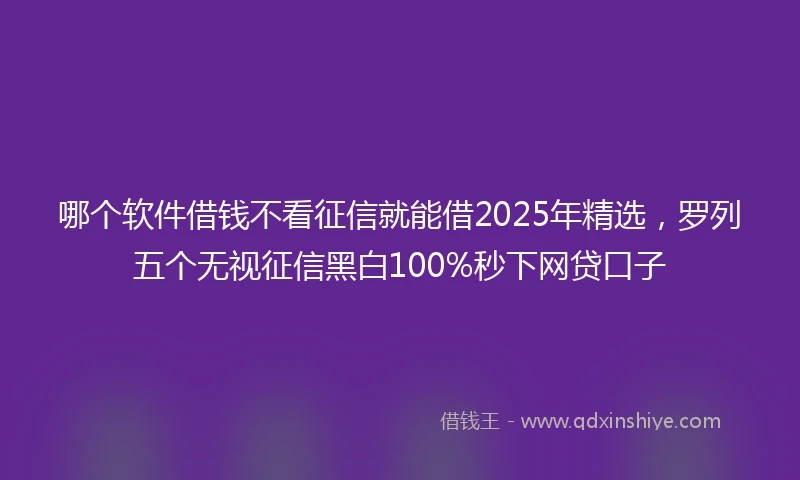 哪个软件借钱不看征信就能借2025年精选，罗列五个无视征信黑白100%秒下网贷口子