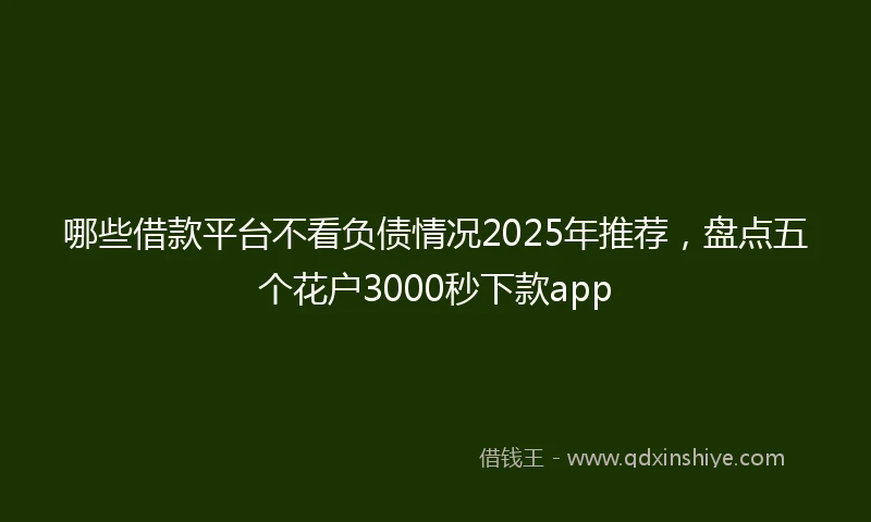 哪些借款平台不看负债情况2025年推荐，盘点五个花户3000秒下款app