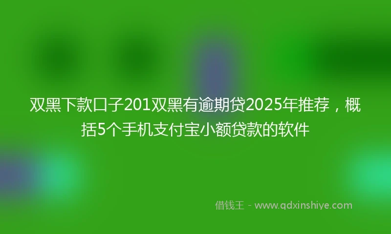 双黑下款口子201双黑有逾期贷2025年推荐，概括5个手机支付宝小额贷款的软件